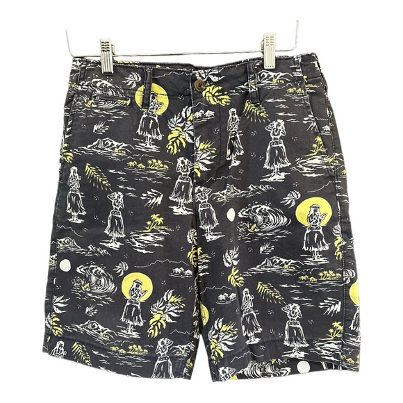 EUC American Eagle Men's Navy Chino Hawaiian/Hula Girl Print Shorts Sz 30 - Picture 1 of 5